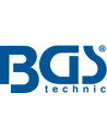 BGS